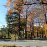 土地（分譲地6区画　残り3区画）　B-79 伊那市西箕輪（大萱）