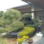 貸店舗 A-35 南箕輪村